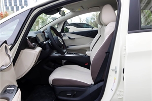 2025 BYD dolphin