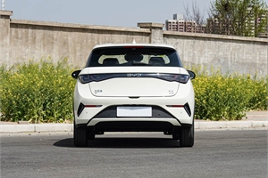 2025 BYD dolphin