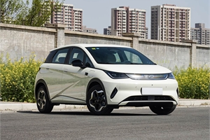 2025 BYD dolphin