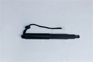 Tailgate Power Support Strut (1551488-98-B)