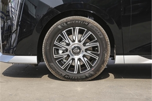 2024 GAC TRUMPCHI E9