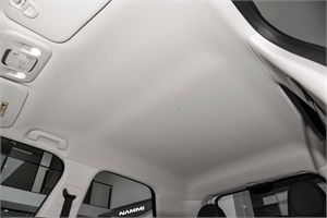 2024 Dongfeng Motor