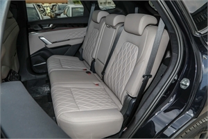 2025 BYD Tang DMi 175km