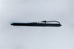 Tailgate Power Support Strut (1500601-00-A)