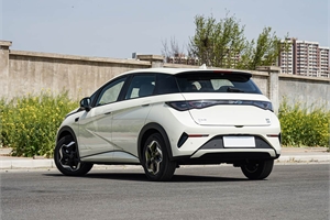 2025 BYD dolphin