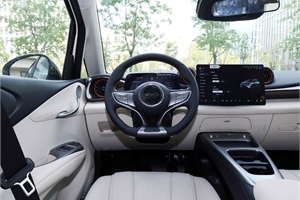 2025 BYD dolphin