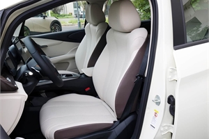 2025 BYD dolphin