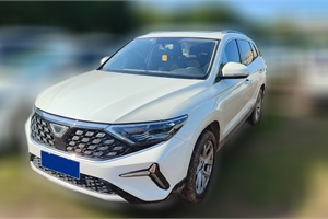 2023 VOLKSWAGEN VS7 280TSI Automatic Premium