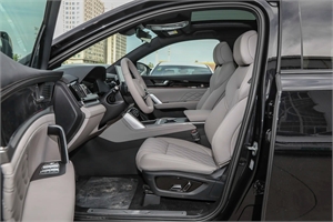 2025 BYD Tang DMi 175km