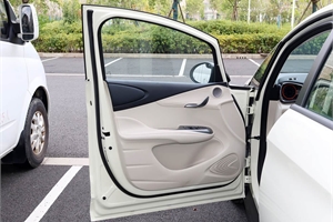2025 BYD dolphin