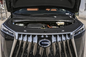 2024 GAC TRUMPCHI E9