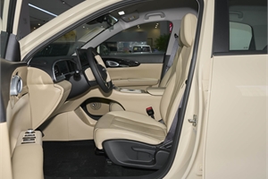 2026 GEELY Xingyuan