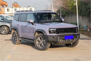 2025 Jetour Traveler