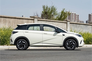 2025 BYD dolphin