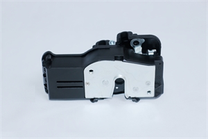 Rear Door Latch Assembly (6008914-99-D)