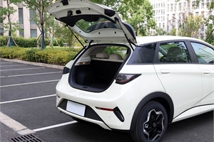 2025 BYD dolphin