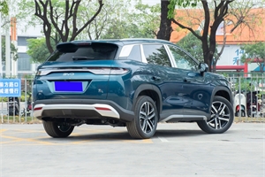 2024 BYD Song L DM