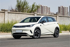 2025 BYD dolphin