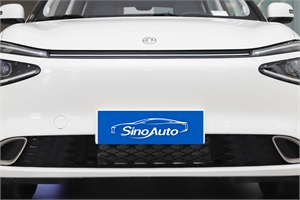 2024 Dongfeng Motor
