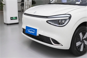 2024 Dongfeng Motor