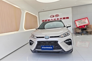 2023 TOYOTA Wildlander