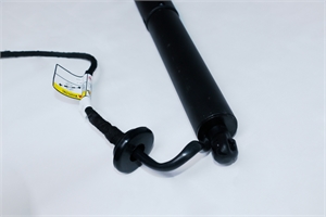Power Liftgate Strut LH (1065664-00-B)