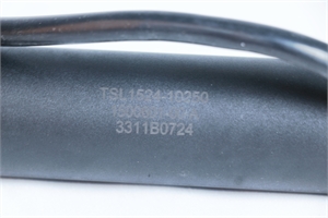 Tailgate Power Support Strut (1500601-00-A)